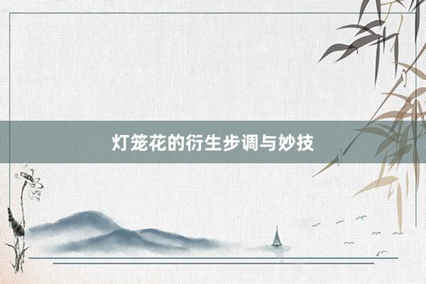 灯笼花的衍生步调与妙技
